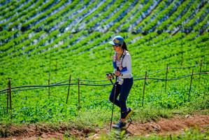 BIB: 
                            <button type="button" onclick="openModal(19163907)" class="btn btn-primary btn-sm float-right btn-popup" data-toggle="modal" data-target=".modal-high-quality">
                        <i class="fas fa-shopping-cart"></i> Add to Cart
                    </button>
                                            <button type="button" onclick="isThisMe(19163907, true)" class="btn btn-success btn-sm float-right btn-popup btn-isme hidden" data-toggle="tooltip" data-placement="bottom" title="นี่คือรูปของคุณใช่ไหม คลิกที่นี่เพื่อเอาเข้าอัลบั้ม">
                        <i class="fas fa-plus"></i> Add to album
                    </button>
                    <button type="button" onclick="isThisMe(19163907, false)" class="btn btn-warning btn-sm float-right btn-popup btn-isnotme hidden">
                        <i class="fas fa-ban"></i> Remove from album
                    </button>